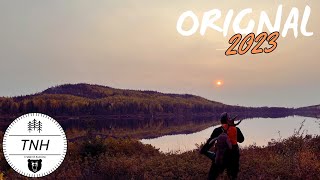 Chasse à lorignal 2023  Moose Hunting 2023  TruNorth Hunters [upl. by Diehl305]