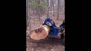 Logging with the Best Skid Steer Grapple and 260 JCB [upl. by Tima]