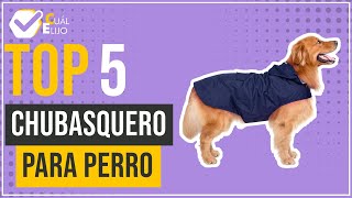 Chubasquero para perro  Top 5  CuálElijo [upl. by Henriette]