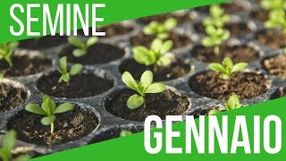 SEMINA ORTAGGI GENNAIO FEBBRAIO E MARZO  VIDEO EXTRA  ORTO E GIARDINAGGIO [upl. by Mallissa]