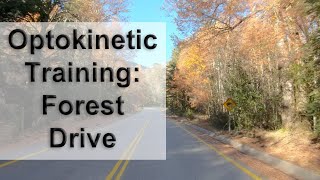 Optokinetic Training  Forest Drive Including Switchbacks [upl. by Arekahs433]