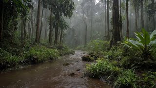 Relaxing Rain Sounds on Tin Roof for Deep Sleep Heavy Rain and Thunder Rain Sounds for Sleeping [upl. by Mccarthy]