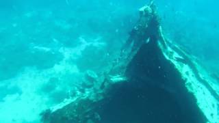 Snorkeling at Shipwreck Cove Buck Island St Thomas US Virgin Islands [upl. by Sirod596]