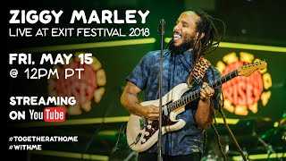 Ziggy Marley live at Exit Festival 2018 Full Concert [upl. by Jard560]