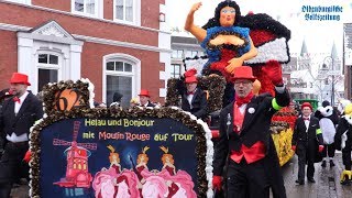 Dammer Carneval  Sonntagsumzug 2018 [upl. by Tronna403]