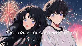 mola pyar tor sang hoge he re lofi slowed x Reverb song lofi loficgsong lofimusic cglofisong [upl. by Svend]