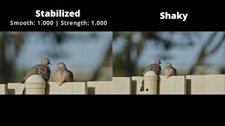 Handheld Image Stabilization in Davinci Resolve [upl. by Tome]