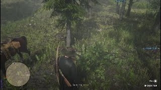 Red Dead Online  Creek Plum Location [upl. by Santini]