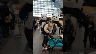 A couple of Pandas on the loose at MegaCon [upl. by Kendall]