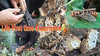 Life First Time Experience 🤣 Searching bee VespaSimillima 🐝 Delicious 😋 for Everyone [upl. by Niad]