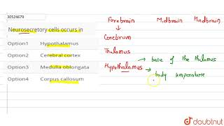 Neurosecretory cells occurs in [upl. by Eberhart]