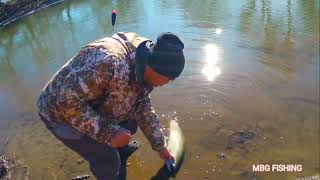 Late winter steelhead fishing  Lake Ontario tributary [upl. by Alyda998]