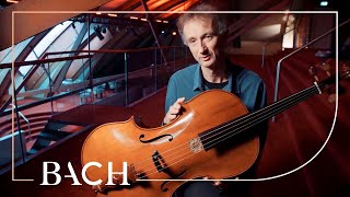 Cocset on the cello BWV 1010  Netherlands Bach Society [upl. by Portland]