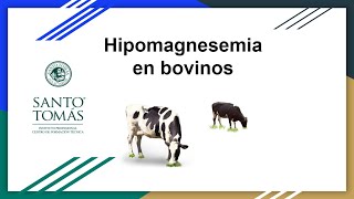 Hipomagnesemia en bovinos [upl. by Enneite]