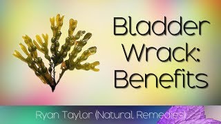 Bladderwrack Benefits for Health [upl. by Dasie133]