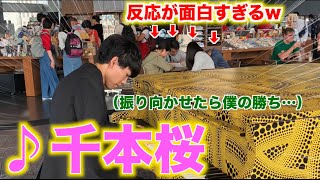 【都庁ピアノ】千本桜を弾いて観客を振り向かせたら僕の勝ち [upl. by Jamieson671]