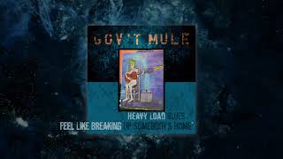 Govt Mule  Feel Like Breaking Up Somebodys Home Visualizer Video [upl. by Cordelie]