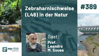 myfishorg  Über 60 Arten gezüchtete Salzwasserfische  Nachzuchten statt Wildtierentnahmen [upl. by Colline]