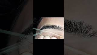 Growth Eyebrow Threading eyebrows eyebrowthreadingtutorialforbeginners shortvideo youtubeshorts [upl. by Outlaw]