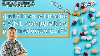 Livello CCNL L19  pillole di pedagogia 080 [upl. by Yrellam68]