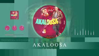 Akaloosa 🌹  Yaled Official Music Visualizer [upl. by Eissirhc]