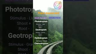 movement in plants shorts youtubeshorts shortvideo shortsfeed [upl. by Hellman]