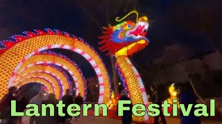 St Louis Zoo 2024 Animals Aglow Lantern Festival  Part 1 [upl. by Adamina]