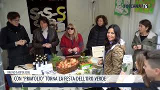 20241115 BAGNO A RIPOLI FI  CON PRIMOLIO TORNA LA FESTA DELLORO VERDE [upl. by Iseabal]