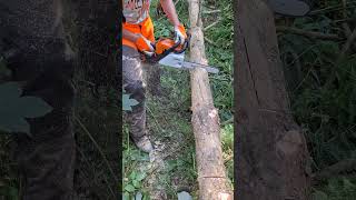 Cutting wood VS Chainsaw Stihl MS180 shorts [upl. by Herbert289]