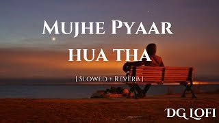 Mujhe Pyaar Hua Tha OST  Slowed  Reverb  Hania Aamir  Wahaj Ali  by DG Lofi [upl. by Yenalem182]