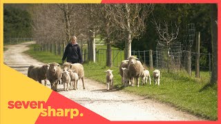 The teenage North Canterbury sheep farmer [upl. by Hayse]