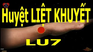 LU7  Huyet Liet khuyet  Kinh Thủ thái âm Phế  Acupoint VIKUDO [upl. by Villada]