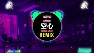 光泽  空心 DJ刘雅松版 2024 Trống Rỗng Remix Tiktok  Quang Trạch  Hot Tiktok Douyin [upl. by Thevenot]