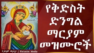 Ye Kidist dengel mariyam mezmur  የቅድስት ድንግል ማርያም መዝሙሮች  New Ethiopian Orthodox Tewahedo Mezmur [upl. by Llesirg711]