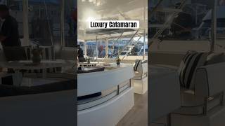 Luxury catamaran in Cape Town shorts viralshorts [upl. by Marja]