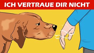 Wie Hunde schlechte Personen erkennen und andere unglaubliche Fähigkeiten von Hunden erklärt [upl. by Liddle959]