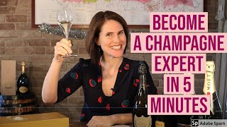 Understanding Champagne in 5 minutes or less [upl. by Loar419]