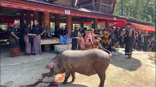 Katongkonan 2 pemakaman almh Laurentina RantelinoSPd mama Hermin  oma Paris di Patua Sangall [upl. by Waller770]