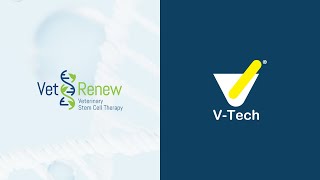 VTech amp Vet Renew Veterinary Regenerative Medicine [upl. by Brendis]