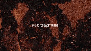 Hozier  Too Sweet Official Lyric Video [upl. by Lan487]