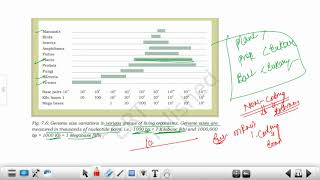 Gene Organisation  Gene  Nuclear vs Organellar Genome  dbtjrf2023 [upl. by Gervase]