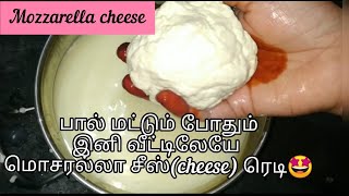 Perfect Mozzarella Cheese within 5 minutes  Whey benefits in tamil [upl. by Alida970]