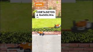 Cortasetos a gasolina  STIHL MÉXICO [upl. by Lorac]