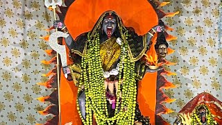 Mata rani status videos 2024  Mata rani visarjan videos 2024  matarani maa navratri cgsong [upl. by Ahsinyt31]