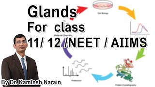 Chemical control and coordination introduction FOR class 11 12 NEET  AIIMS By DR KAMLESH NARAIN [upl. by Eveivenej]