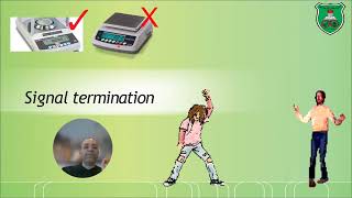 Visual transduction 2024 Part 2 Signal amplification and termination [upl. by Purse966]