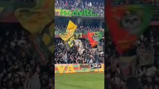 Curva Nord Ternana in casa contro l Ascoli 202425 [upl. by Tigirb]