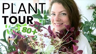 PLANT TOUR 2018  Ma collection complète de plantes dintérieur  Plantes vertes et orchidées [upl. by Maker527]