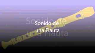 sonido flauta [upl. by Eeniffar]