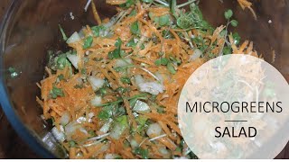 microgreens salad  Spice Labs [upl. by Oneill]